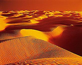 《雨中冒险》主创正在开发V社新作《Deadlock》